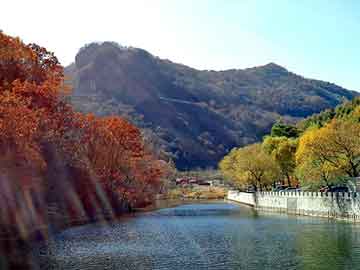 管家婆黑白马报图库，太阳系麻辣烫